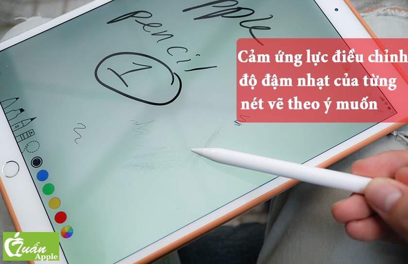 Bút cảm ứng Apple Pencil 2 MU8F2 | Chính hãng Apple Việt Nam