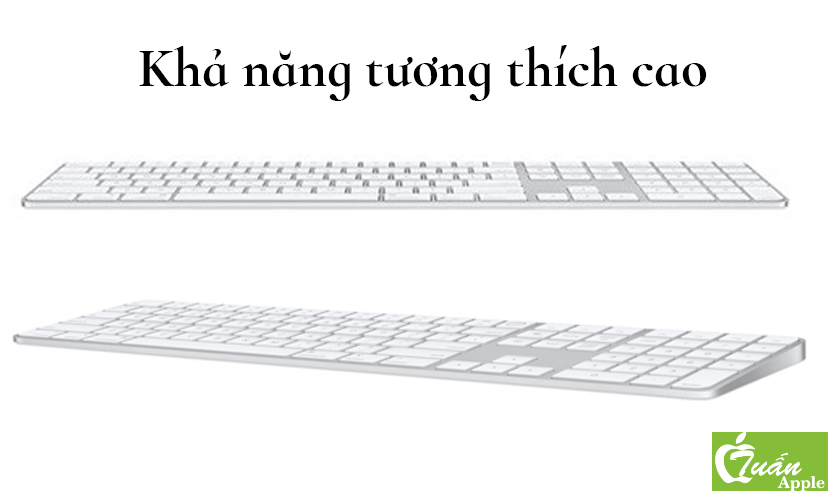 Bàn phím Apple Magic Keyboard + Touch ID/Phím số 2021 MK2C3