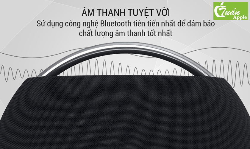 Loa Bluetooth Harman Kardon Go + Play