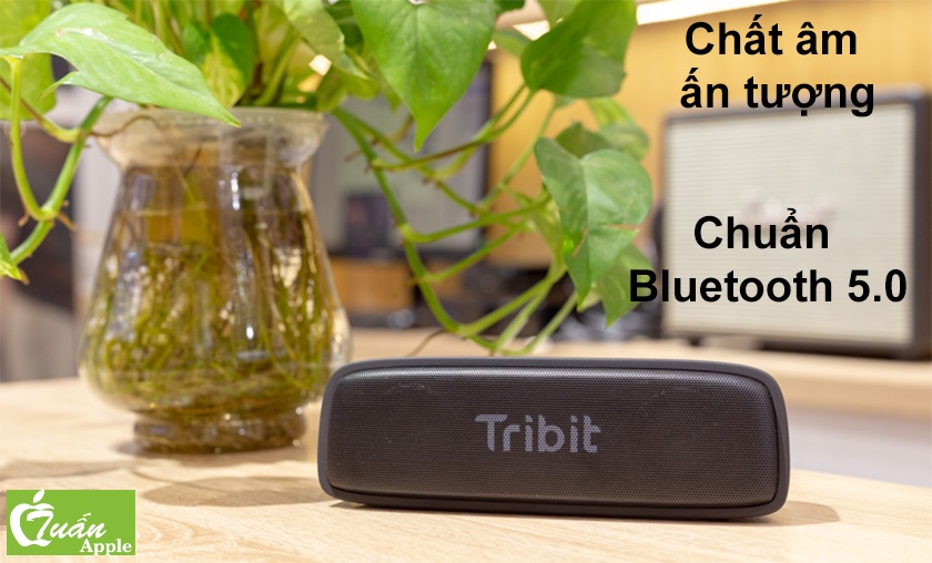 loa Bluetooth Tribit Xsound Surf