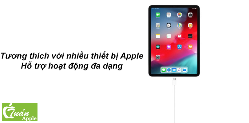 Cáp Type C to Type C Apple MUF72ZA 1M