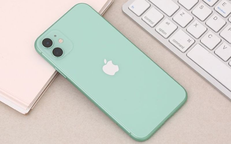 iPhone 11 cũ series có những loại nào?